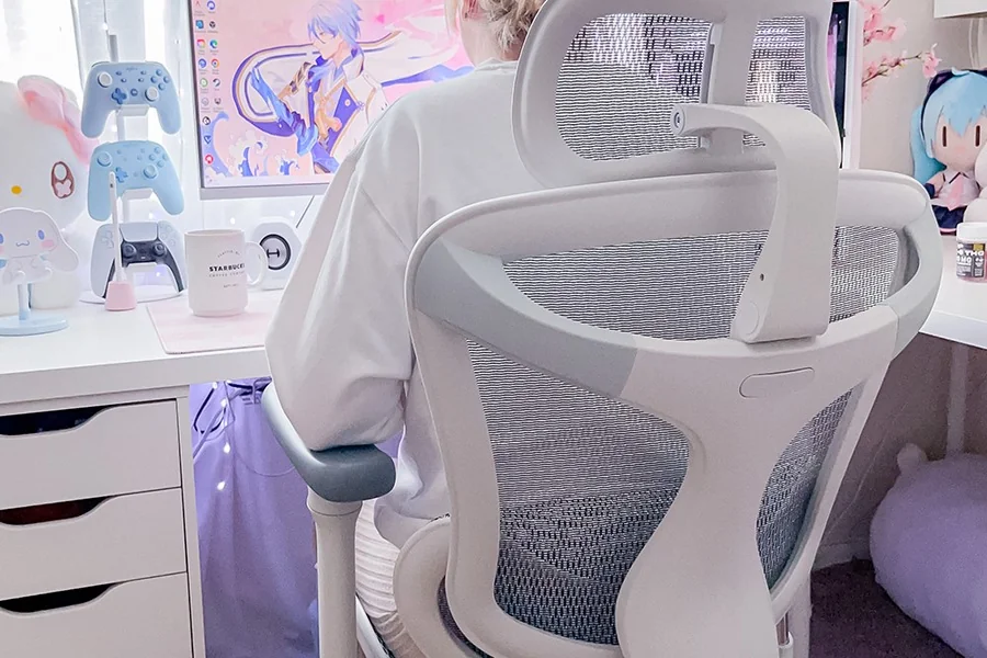 Investing in Your Health The Long-Term Benefits of the Sihoo Doro C300